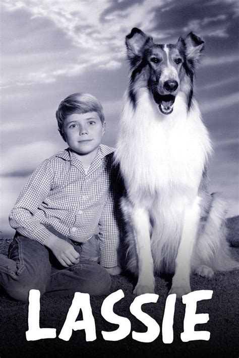 The beloved Lassie franchise: From movies to TV shows